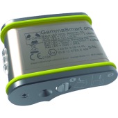 GammaSmart One Dose Rate Alarm Unit