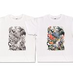 ThermoStar Photochromic Tinta