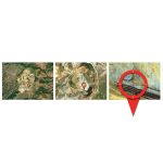 PowerHouse X XRF alapú ércanalizátor